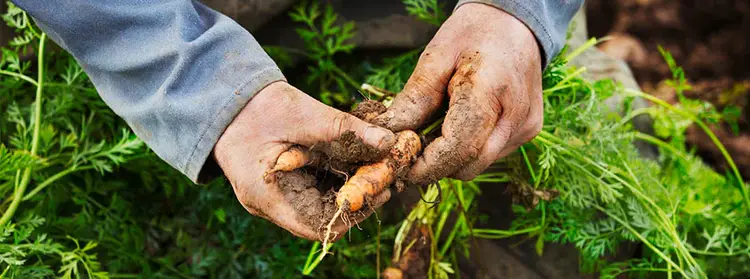 Cinq conseils pour réduire le gaspillage alimentaire.jpg