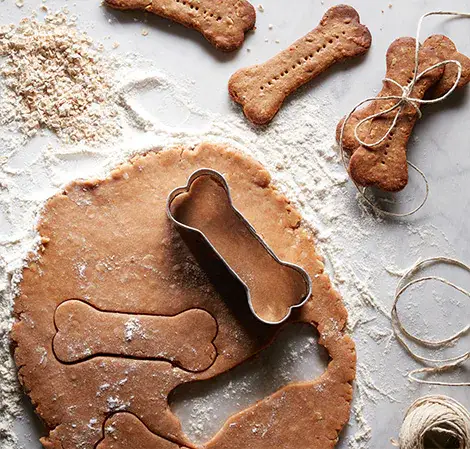 Biscuit pour chien simple