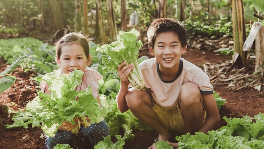 Image of Children Smiling holding Lettuce
