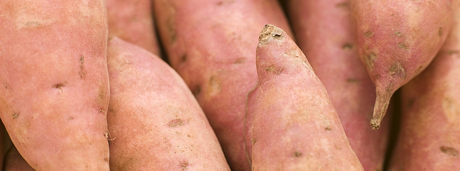 Creative Sweet Potato Recipe Ideas