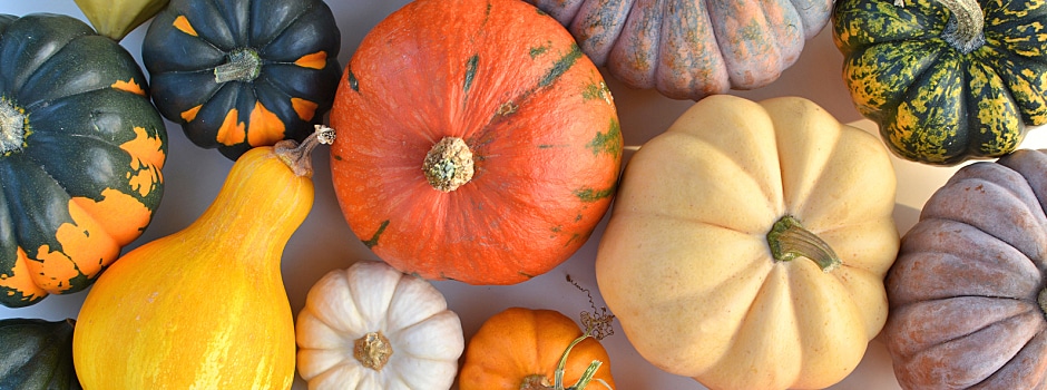 How to Make the Most of the Fall Harvest