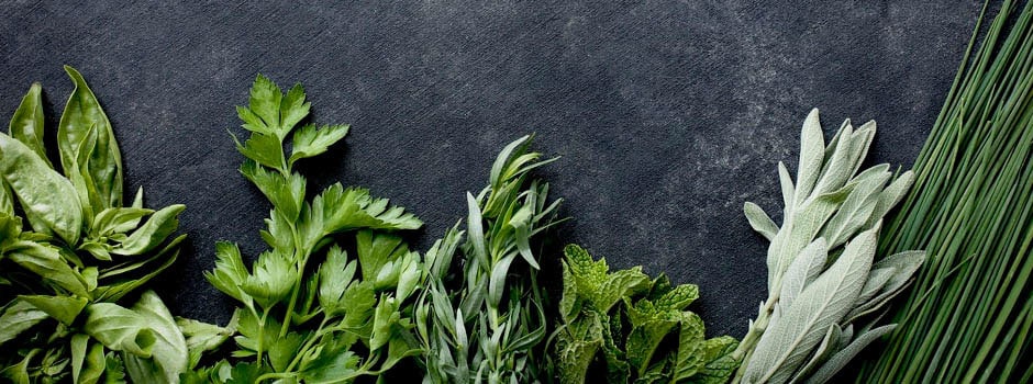 Vegetables and Herbs: How to Buy, Prepare, Store and Cook