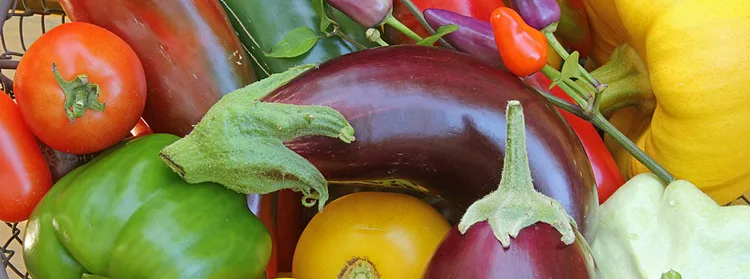 solanáceas-verduras-aclarando-las-cosas-principales.jpg