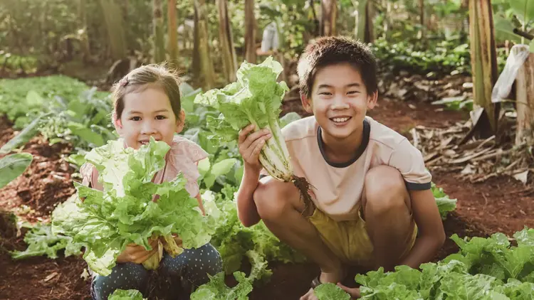 Image of Children Smiling holding Lettuce