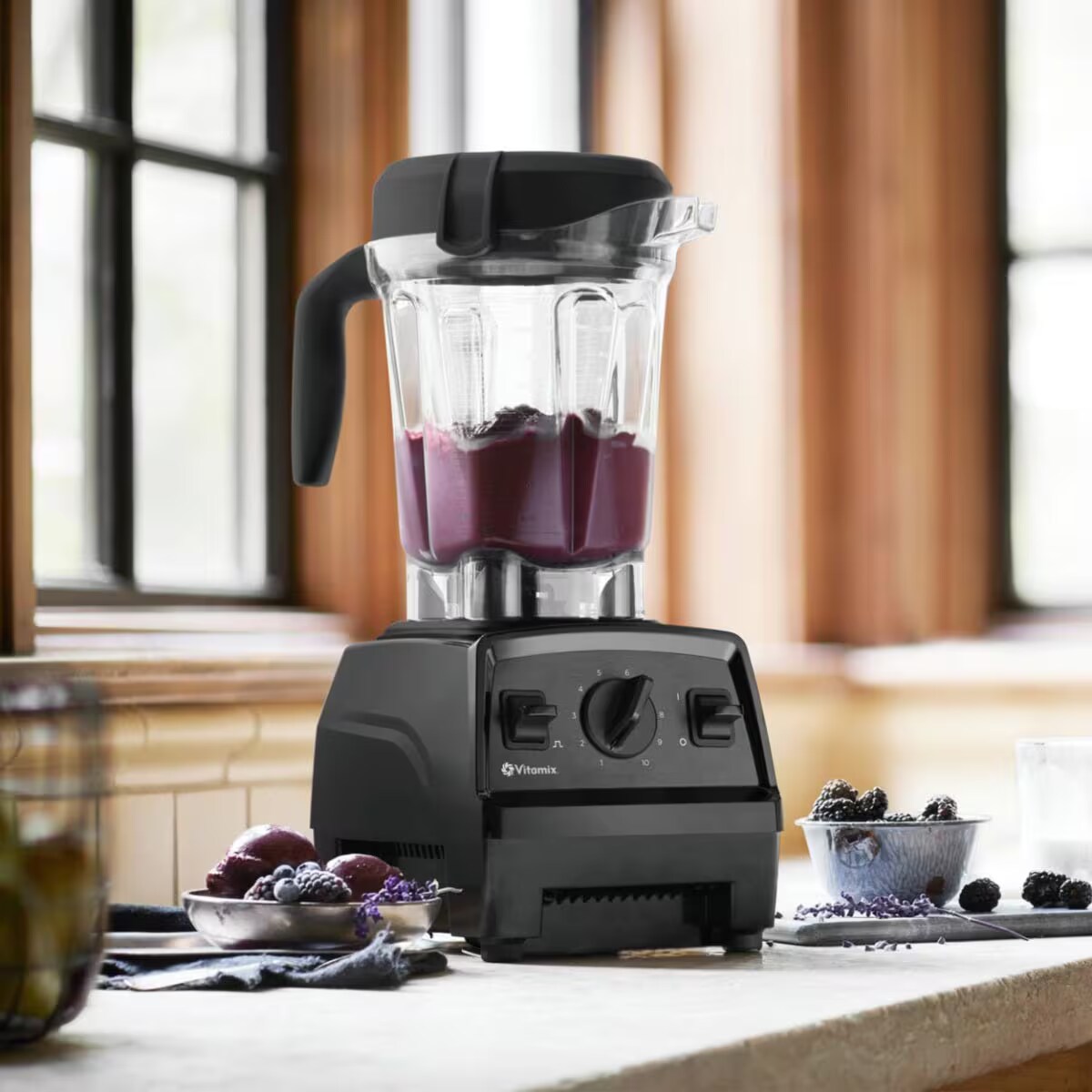 Explorian Series E320 - Classic Blenders