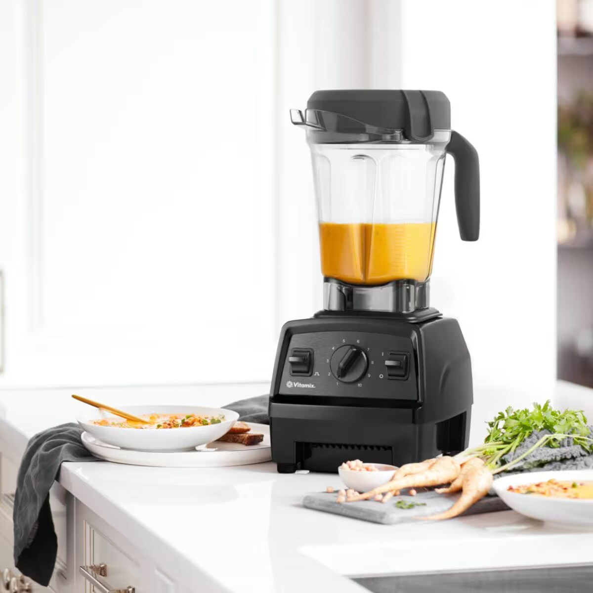 Explorian Series E320 - Classic Blenders