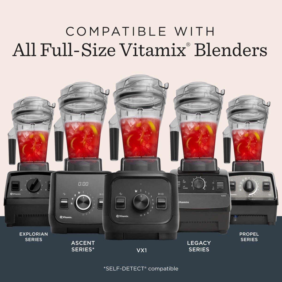 Aer Disc Container - Blender Containers