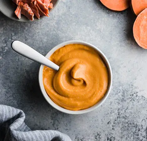 Salmon and Sweet Potato Baby Food